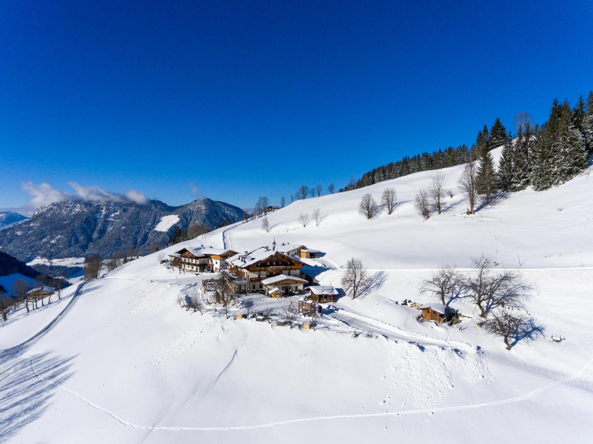 Alpengasthof Gruberhof 솔 외부 사진