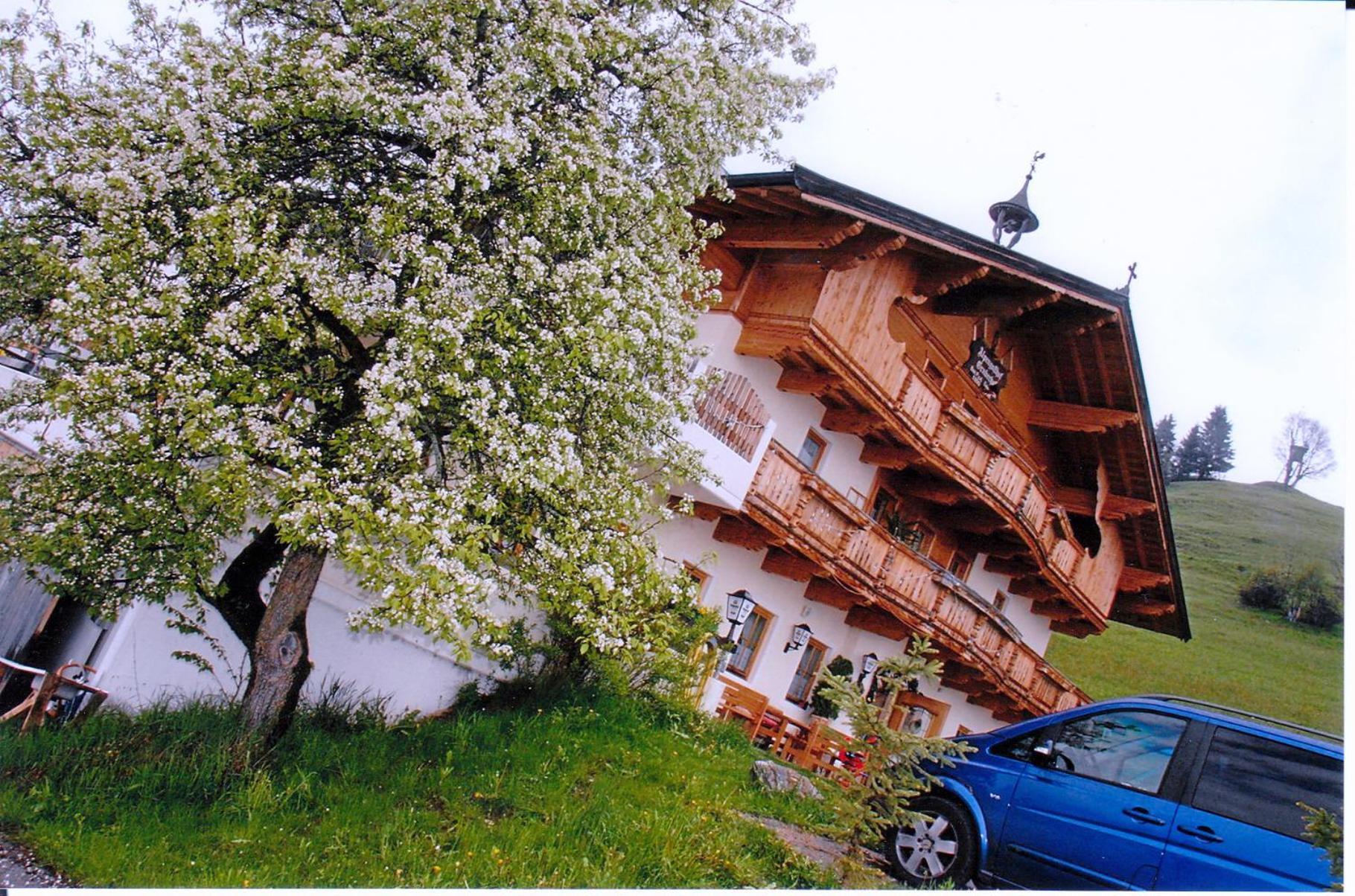Alpengasthof Gruberhof 솔 외부 사진